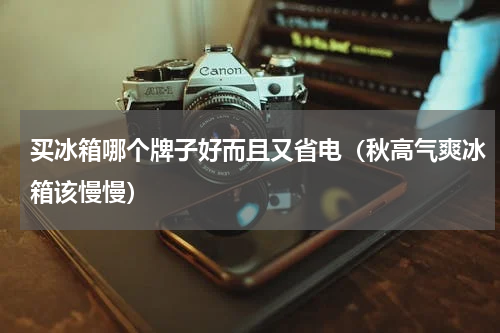买冰箱哪个牌子好而且又省电（秋高气爽冰箱该慢慢）