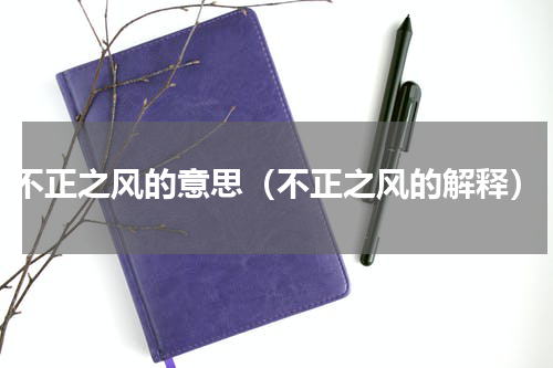 不正之风的意思（不正之风的解释）