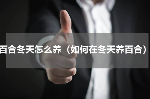 百合冬天怎么养（如何在冬天养百合）