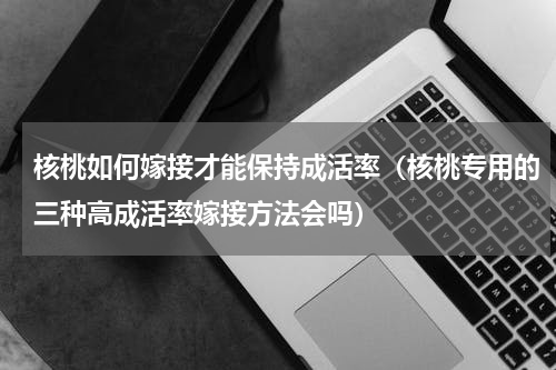 核桃如何嫁接才能保持成活率（核桃专用的三种高成活率嫁接方法会吗）