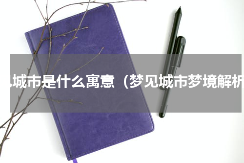 梦见城市是什么寓意（梦见城市梦境解析）