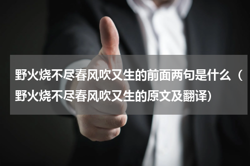 野火烧不尽春风吹又生的前面两句是什么（野火烧不尽春风吹又生的原文及翻译）