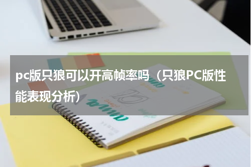 pc版只狼可以开高帧率吗（只狼PC版性能表现分析）
