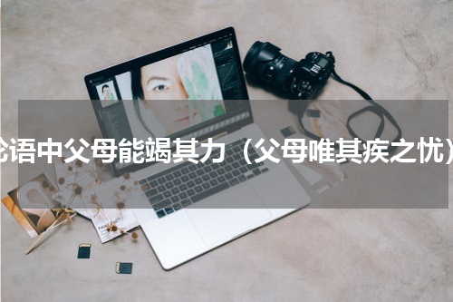 论语中父母能竭其力（父母唯其疾之忧）
