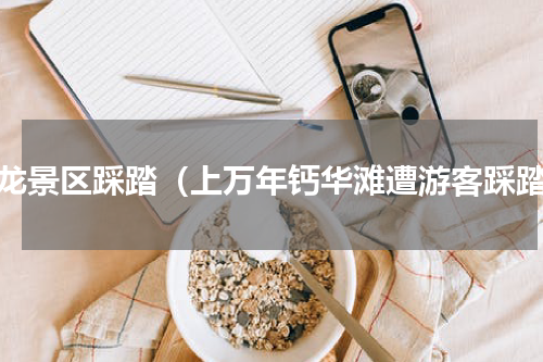 黄龙景区踩踏（上万年钙华滩遭游客踩踏）