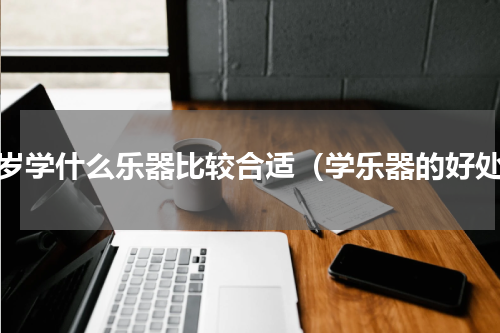 十岁学什么乐器比较合适（学乐器的好处）