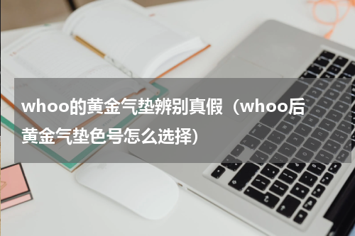 whoo的黄金气垫辨别真假（whoo后黄金气垫色号怎么选择）