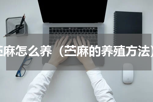 苎麻怎么养（苎麻的养殖方法）