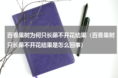 百香果树为何只长藤不开花结果（百香果树只长藤不开花结果是怎么回事）