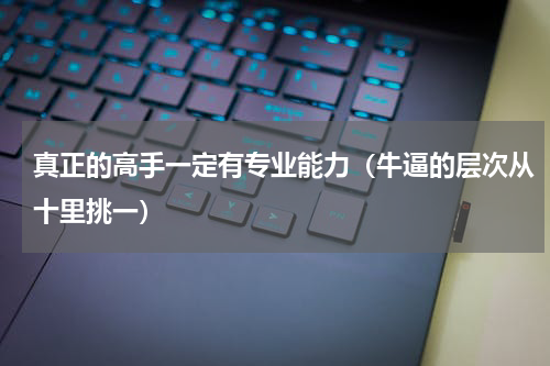 真正的高手一定有专业能力（牛逼的层次从十里挑一）