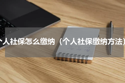 个人社保怎么缴纳（个人社保缴纳方法）
