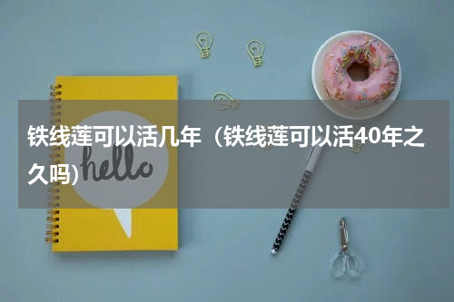 铁线莲可以活几年（铁线莲可以活40年之久吗）