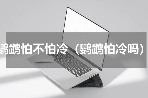 鹦鹉怕不怕冷（鹦鹉怕冷吗）