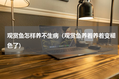 观赏鱼怎样养不生病（观赏鱼养着养着变褪色了）