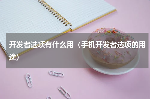 开发者选项有什么用（手机开发者选项的用途）