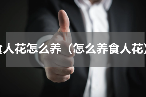 食人花怎么养（怎么养食人花）
