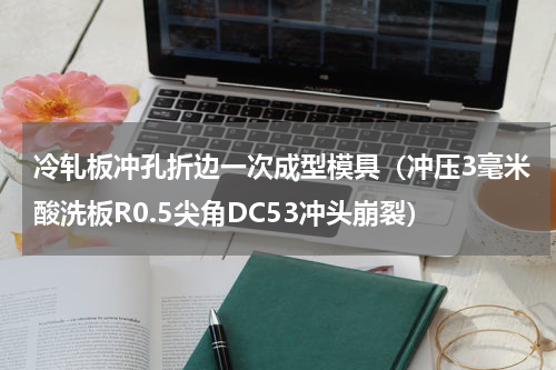 冷轧板冲孔折边一次成型模具（冲压3毫米酸洗板R0.5尖角DC53冲头崩裂）