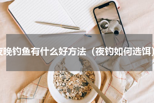 夜晚钓鱼有什么好方法（夜钓如何选饵）