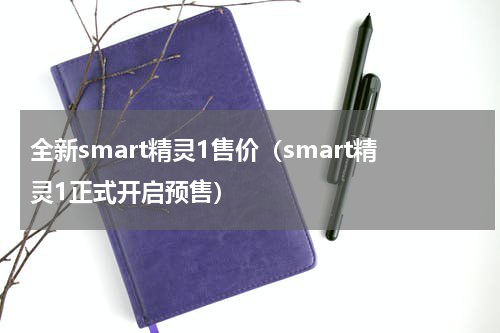 全新smart精灵1售价（smart精灵1正式开启预售）