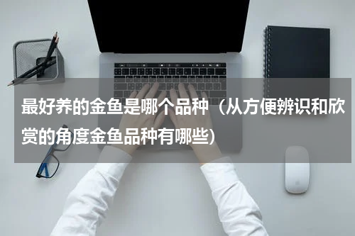 最好养的金鱼是哪个品种（从方便辨识和欣赏的角度金鱼品种有哪些）
