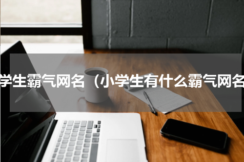 小学生霸气网名（小学生有什么霸气网名）
