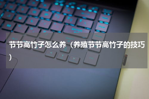 节节高竹子怎么养（养殖节节高竹子的技巧）