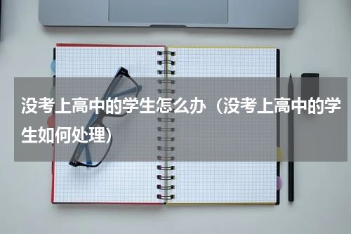 没考上高中的学生怎么办（没考上高中的学生如何处理）
