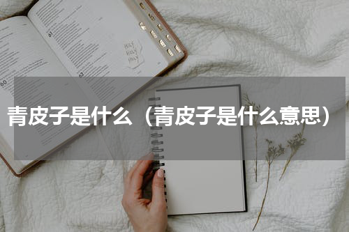青皮子是什么（青皮子是什么意思）