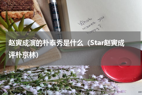 赵寅成演的朴泰秀是什么（Star赵寅成评朴京林）