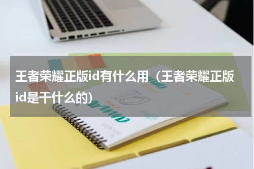 王者荣耀正版id有什么用（王者荣耀正版id是干什么的）