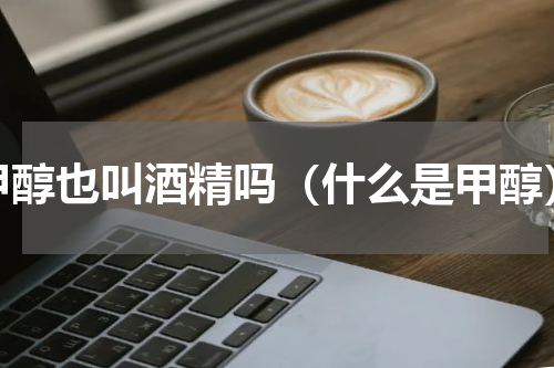 甲醇也叫酒精吗（什么是甲醇）