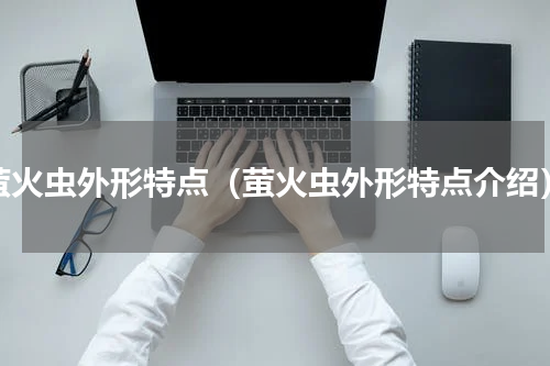 萤火虫外形特点（萤火虫外形特点介绍）