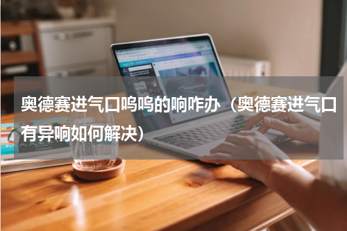 奥德赛进气口呜呜的响咋办（奥德赛进气口有异响如何解决）