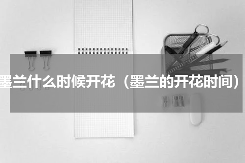 墨兰什么时候开花（墨兰的开花时间）