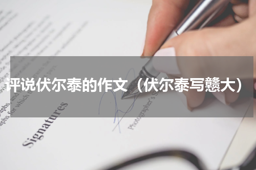 评说伏尔泰的作文（伏尔泰写戆大）