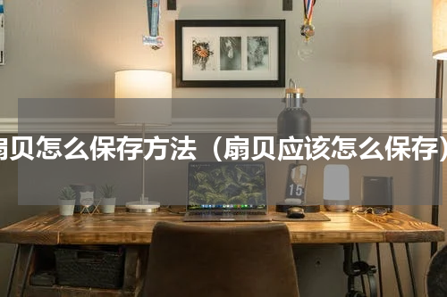扇贝怎么保存方法（扇贝应该怎么保存）