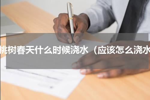 樱桃树春天什么时候浇水（应该怎么浇水）