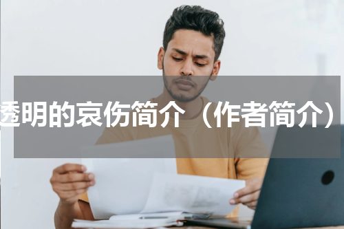透明的哀伤简介（作者简介）