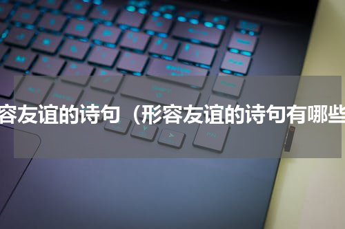 形容友谊的诗句（形容友谊的诗句有哪些）