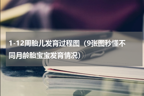 1-12周胎儿发育过程图（9张图秒懂不同月龄胎宝宝发育情况）