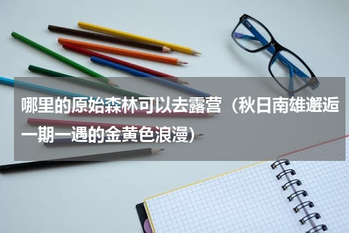 哪里的原始森林可以去露营（秋日南雄邂逅一期一遇的金黄色浪漫）