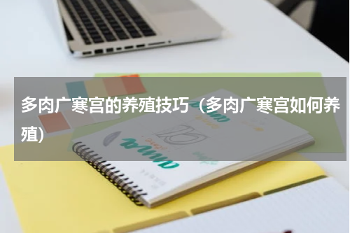 多肉广寒宫的养殖技巧（多肉广寒宫如何养殖）