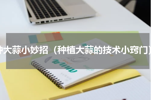 种大蒜小妙招（种植大蒜的技术小窍门）