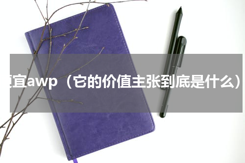 最便宜awp（它的价值主张到底是什么）