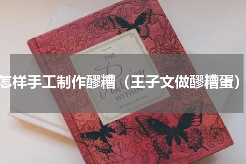 怎样手工制作醪糟（王子文做醪糟蛋）