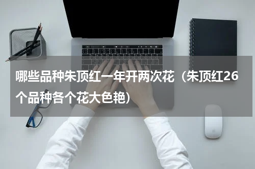 哪些品种朱顶红一年开两次花（朱顶红26个品种各个花大色艳）