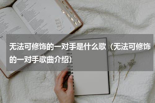 无法可修饰的一对手是什么歌（无法可修饰的一对手歌曲介绍）