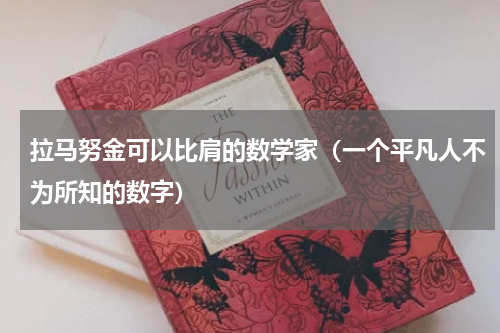 拉马努金可以比肩的数学家（一个平凡人不为所知的数字）