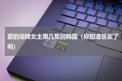 爱的迫降女主第几集回韩国（你知道答案了吗）