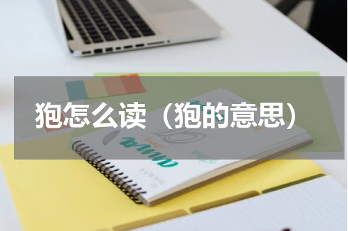 狍怎么读（狍的意思）